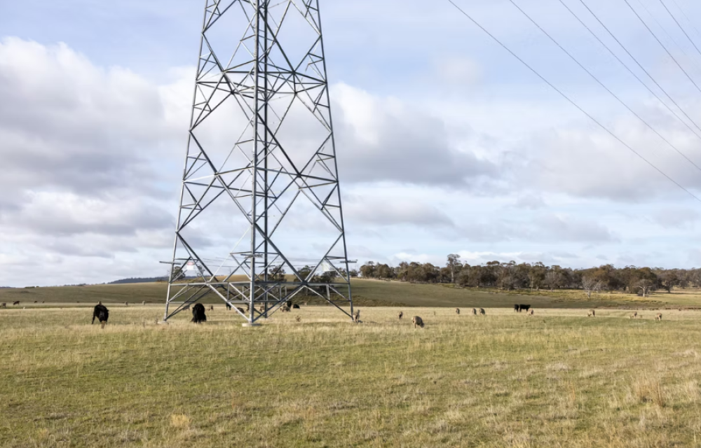 Two established Tasmanian farming families joined forces with renewable energy developer to construct major solar and battery project in state’s highlandsarticle image